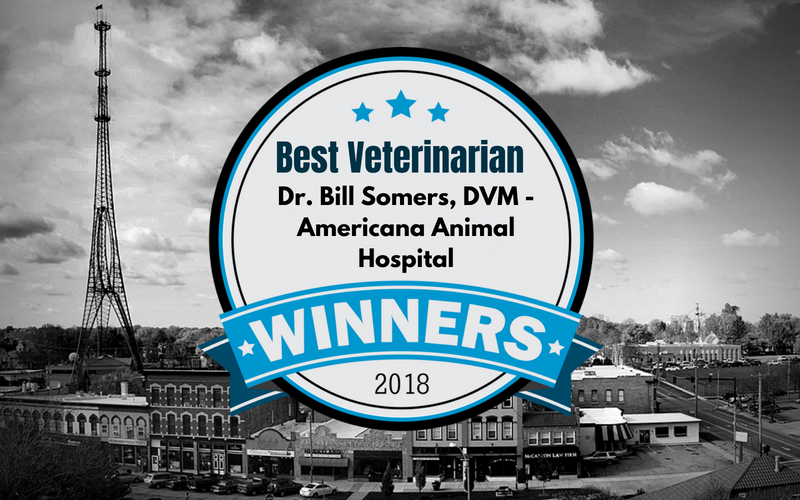 Best Veterinarian